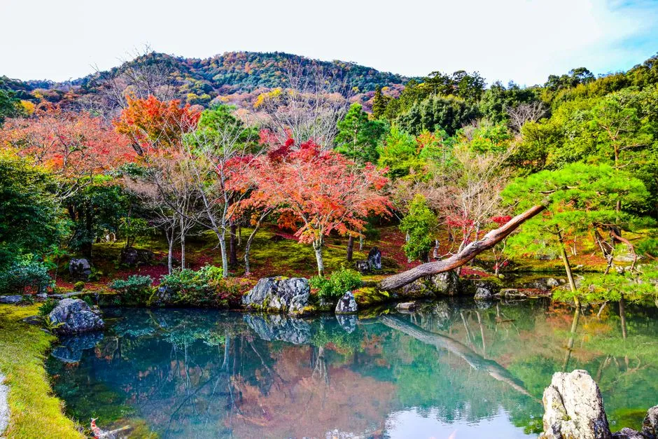 天龍寺の曹源池庭園と嵐山